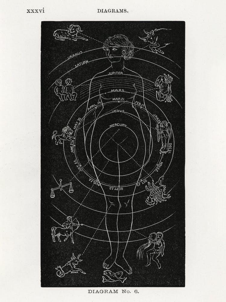 Zodiac Diagram, Hiram Erastus Butler