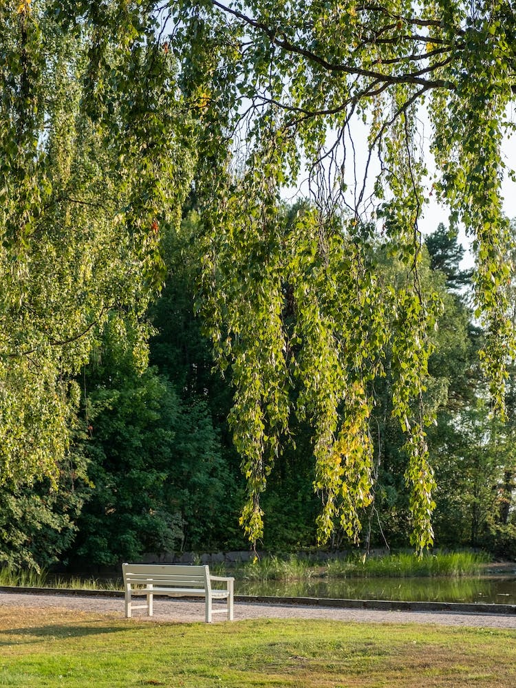 Nature Helsinki
