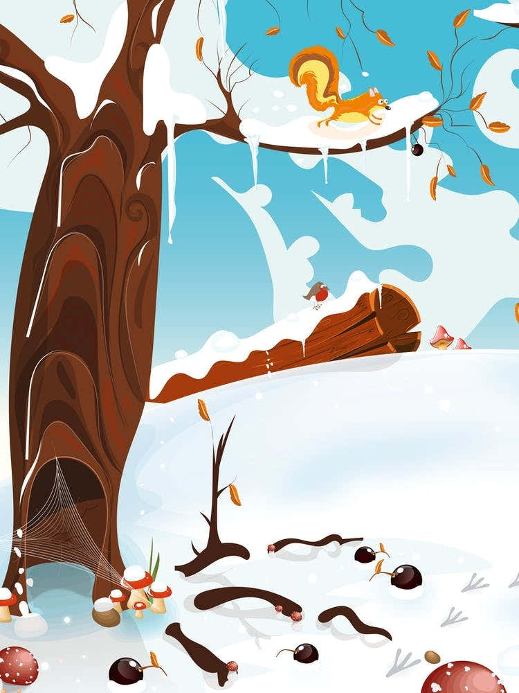 Winter Forest landscape