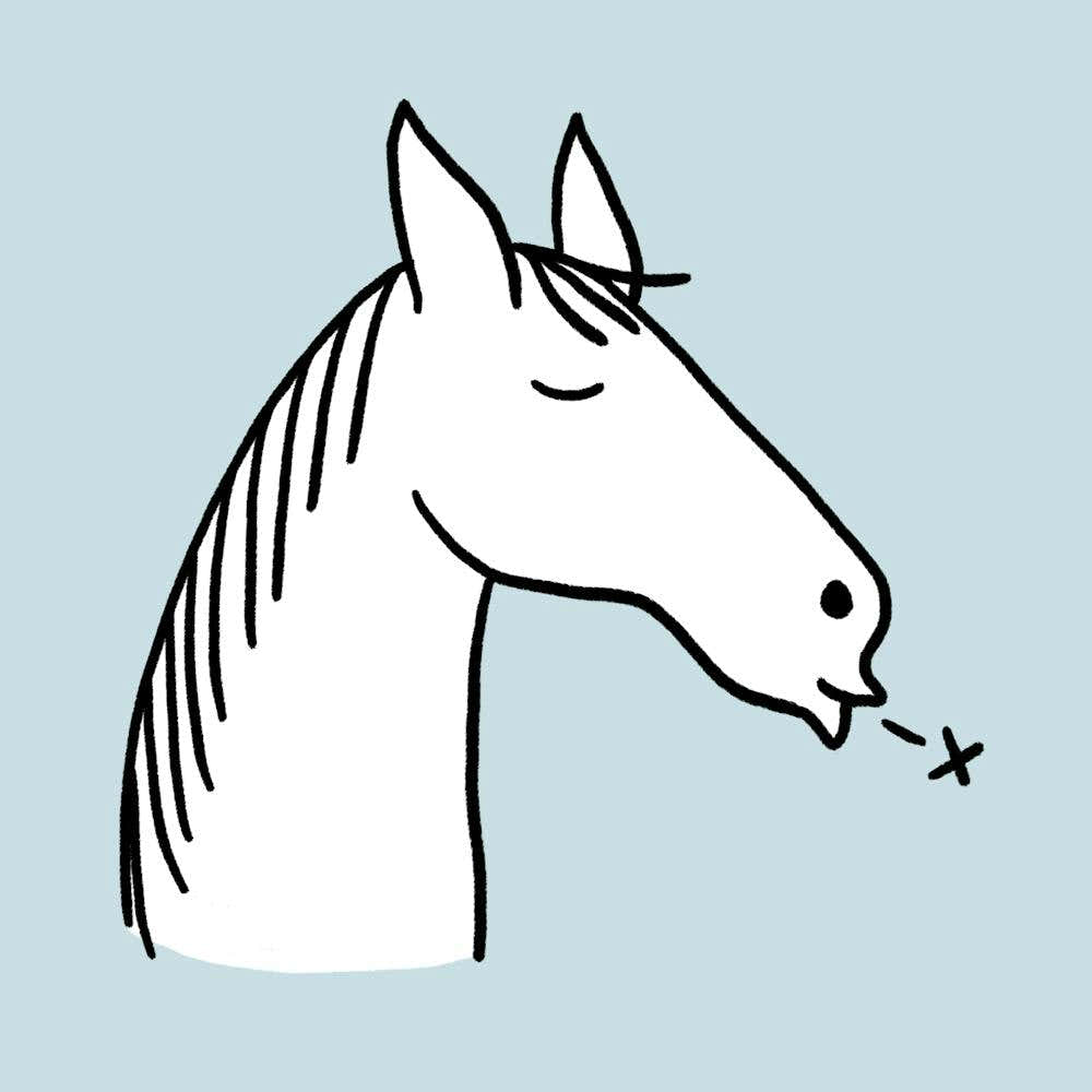 Horse Blowing A Kiss