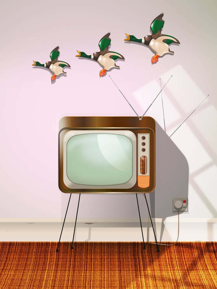 Tv and flying ducks.