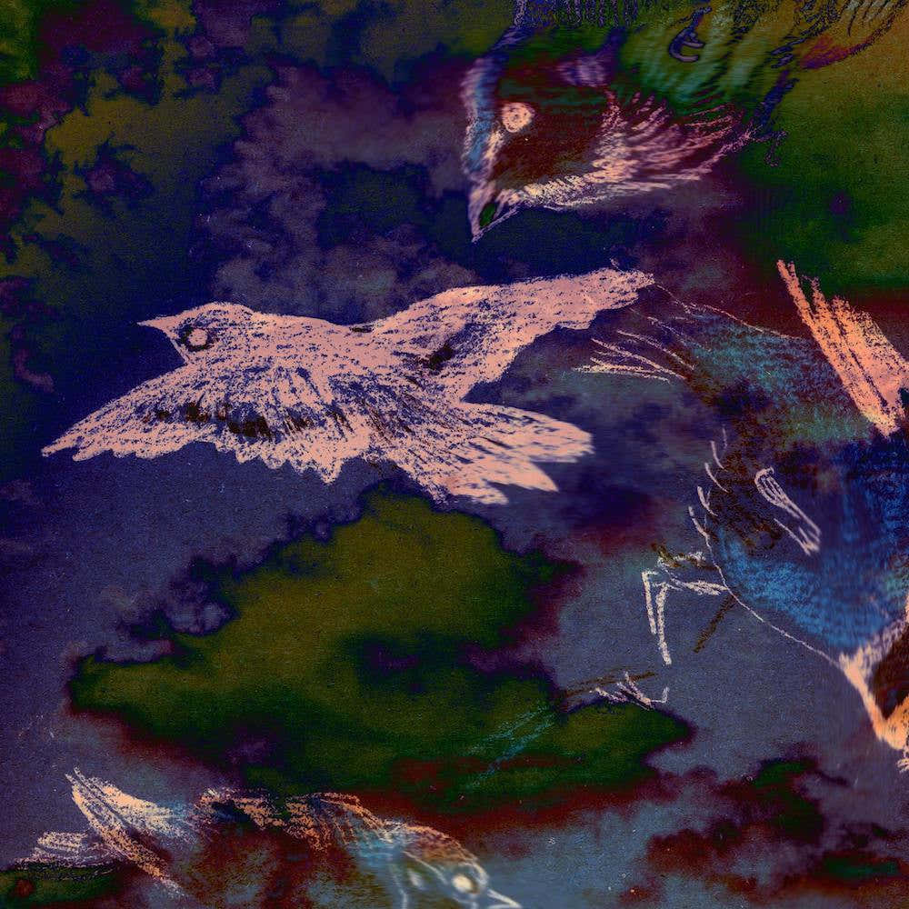 The Birds Beat The Storm