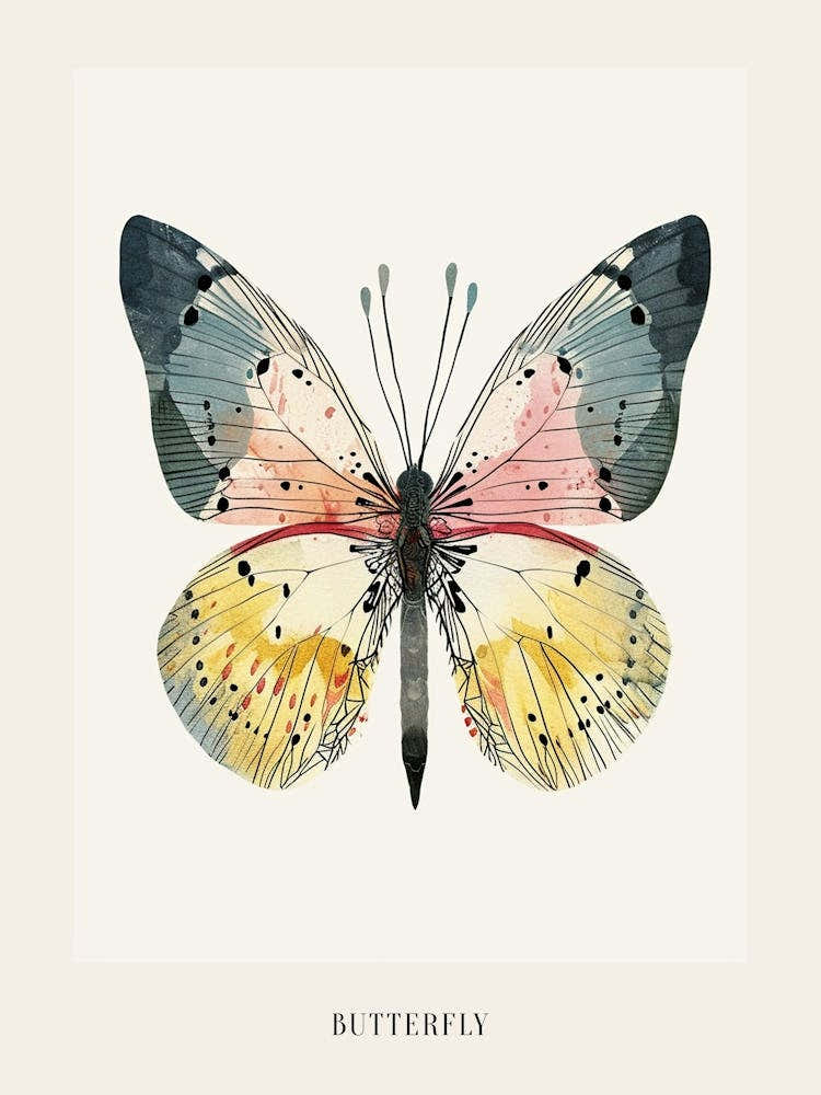 Colourful Insect Illustration Butterfly 30 Poster