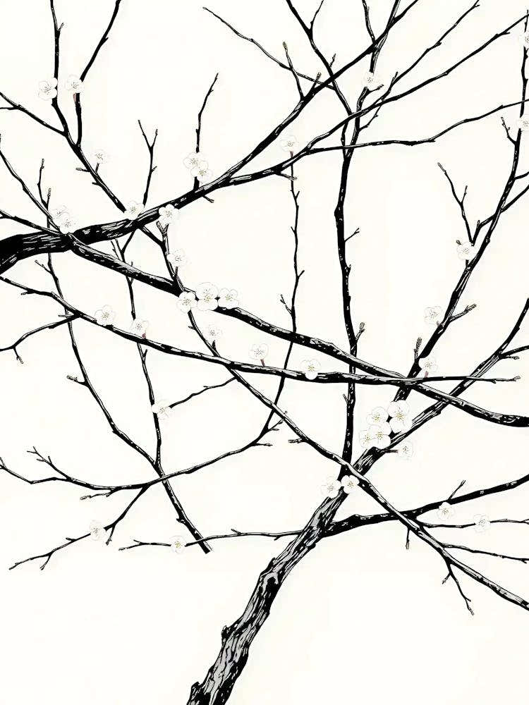 Bare Branches