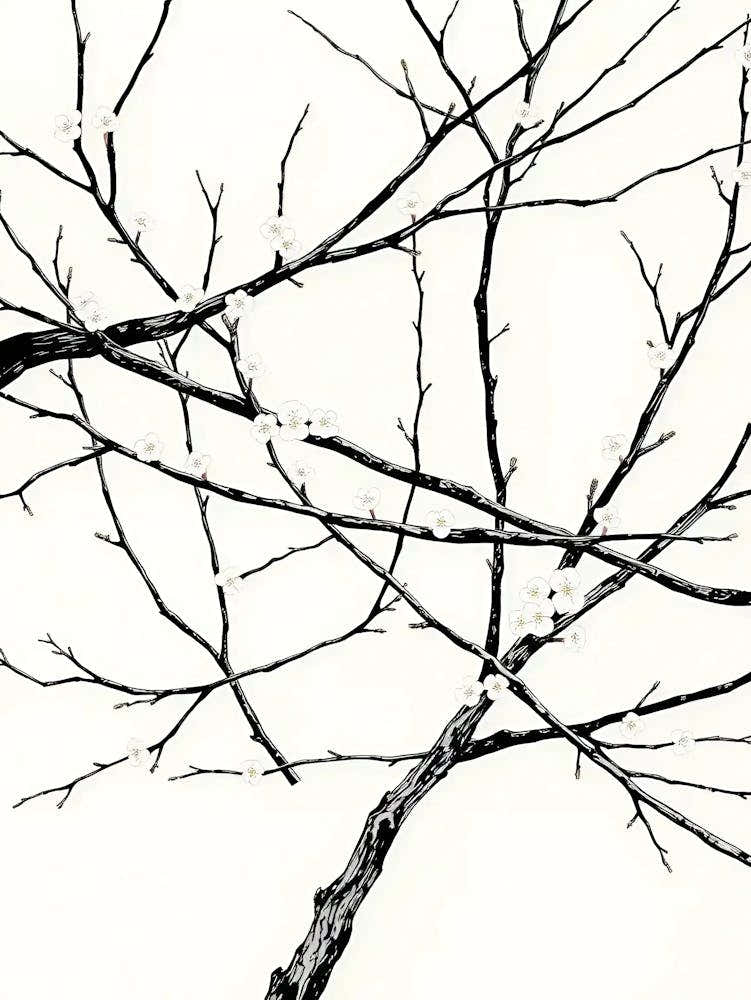 Bare Branches