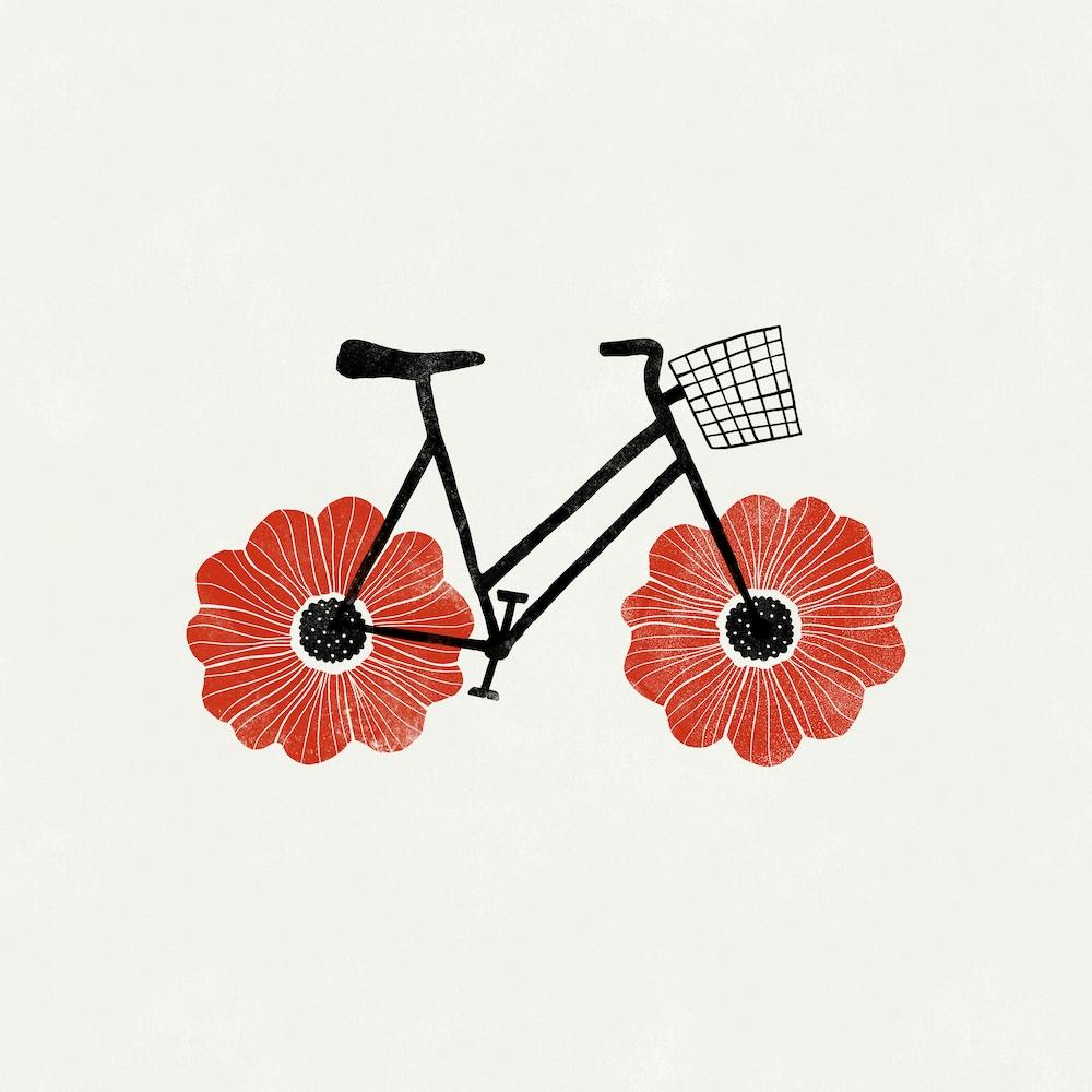 Anemone Bike Square