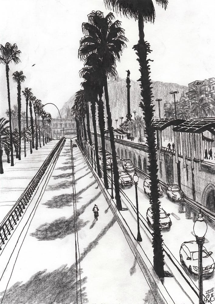 Palm Trees Making Shadows