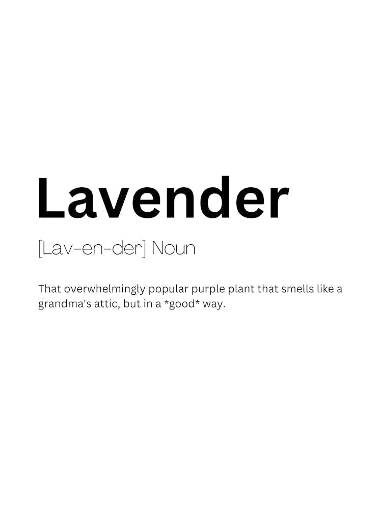 Lavender Definition Meaning