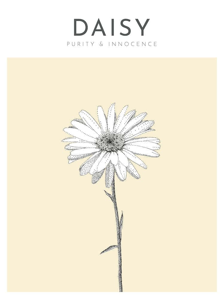 Daisy Print Modern Flower Poster Bamber Prints