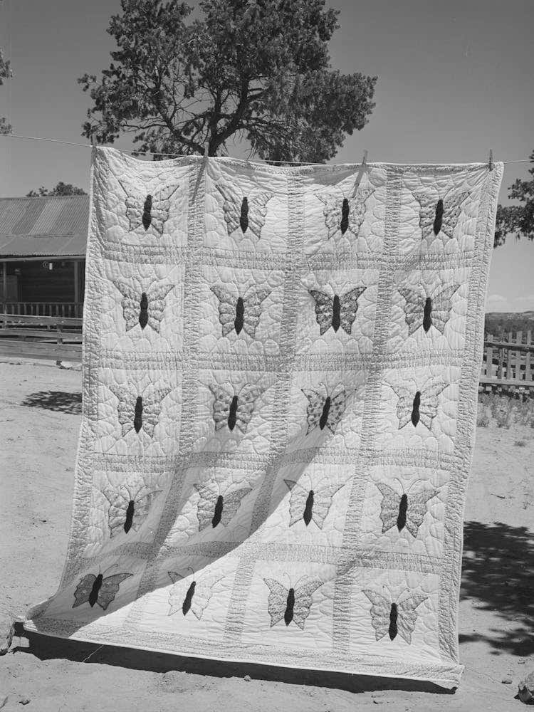 Butterfly Applique Quilt Made By Mrs, Bill Stagg, Homesteader From Texas And Oklahoma, Pie Town, New Mexico By