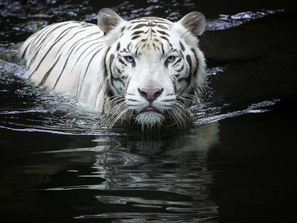 Looking At Me Looking At You