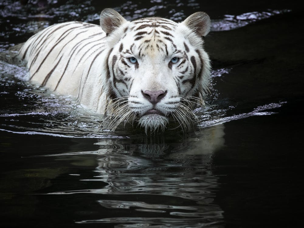 Looking At Me Looking At You