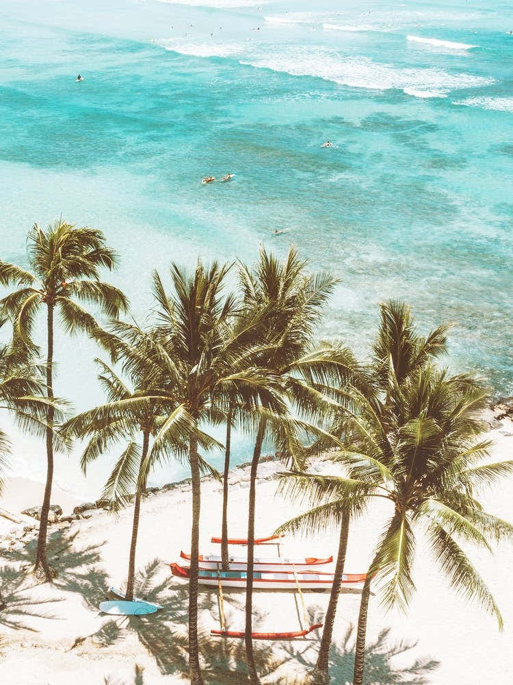 Waikiki Hawaii Beach Scene