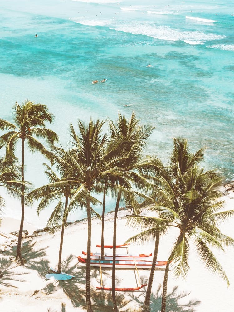 Waikiki Hawaii Beach Scene