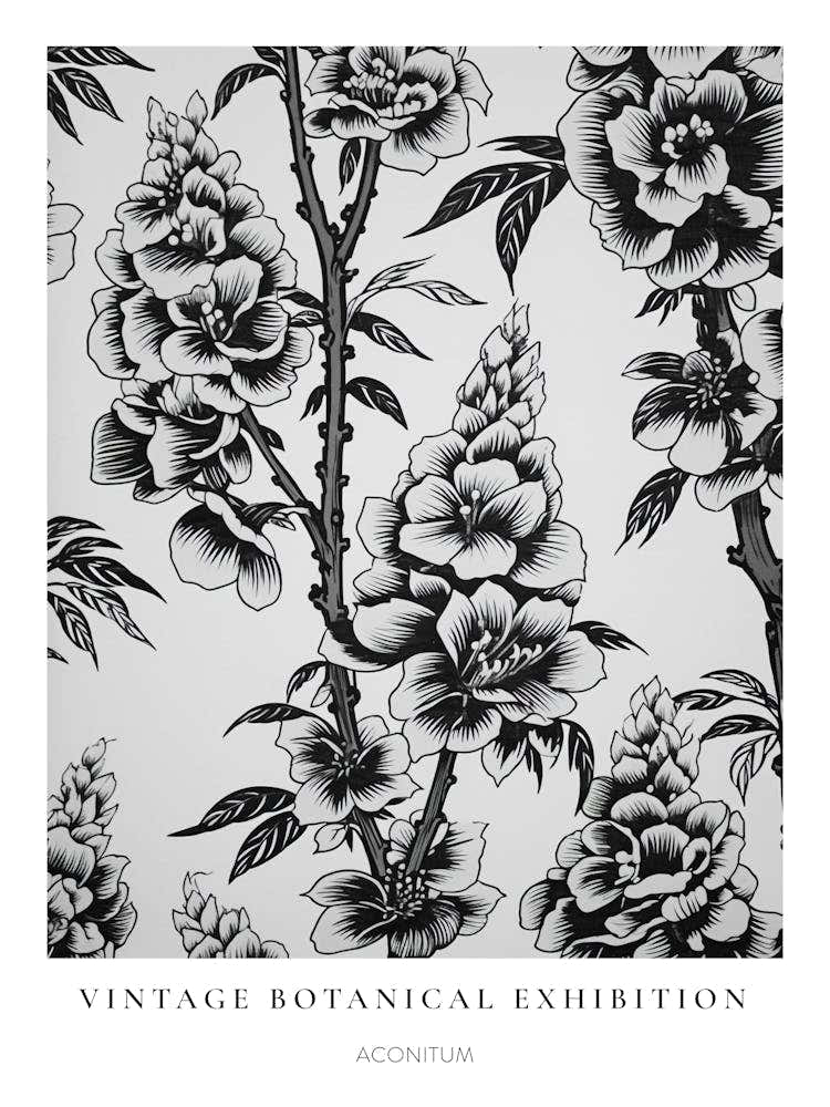 Aconitum B&W Vintage Botanical Poster