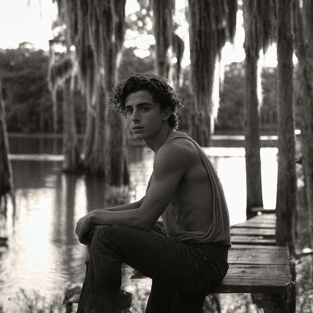 Bayou Timothée