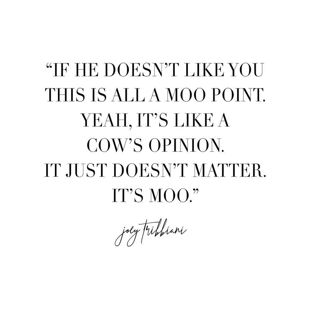 This Is All A Moo Point Joey Tribbiani Quote