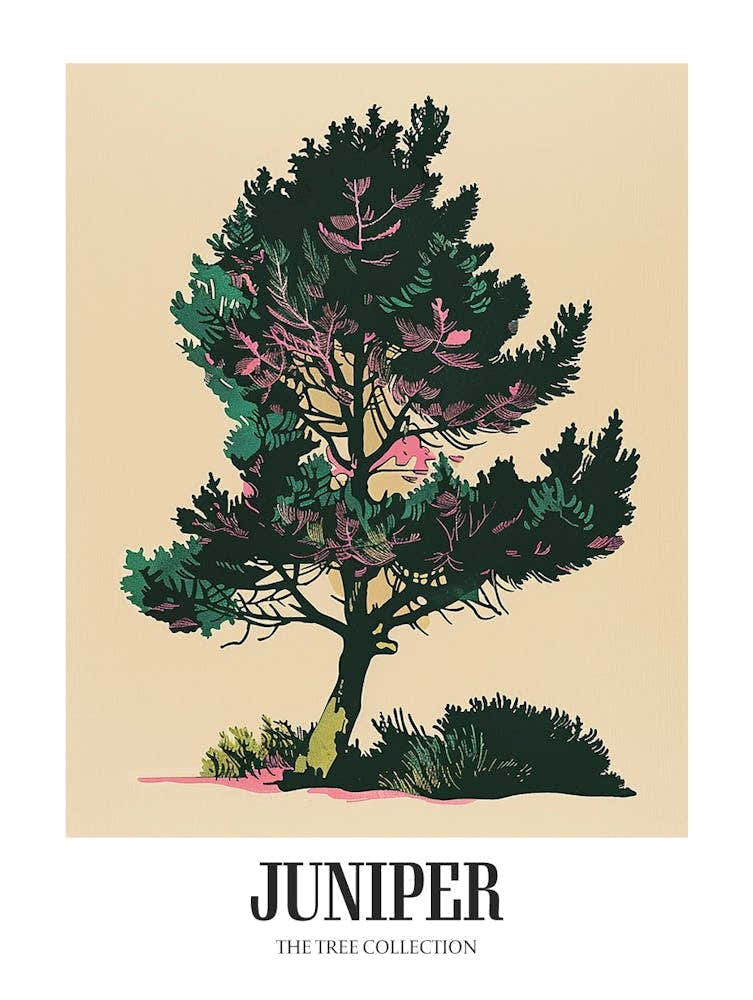 Juniper Tree Colourful Illustration 2 Poster
