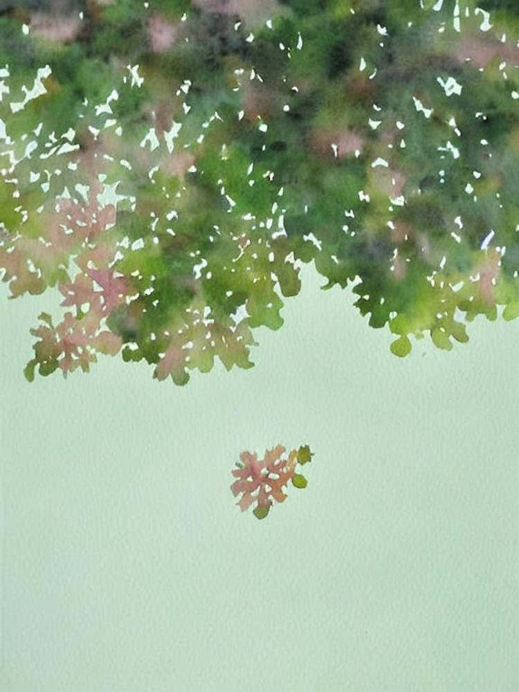 Acropora Anthocercis Ii Storybook Watercolour