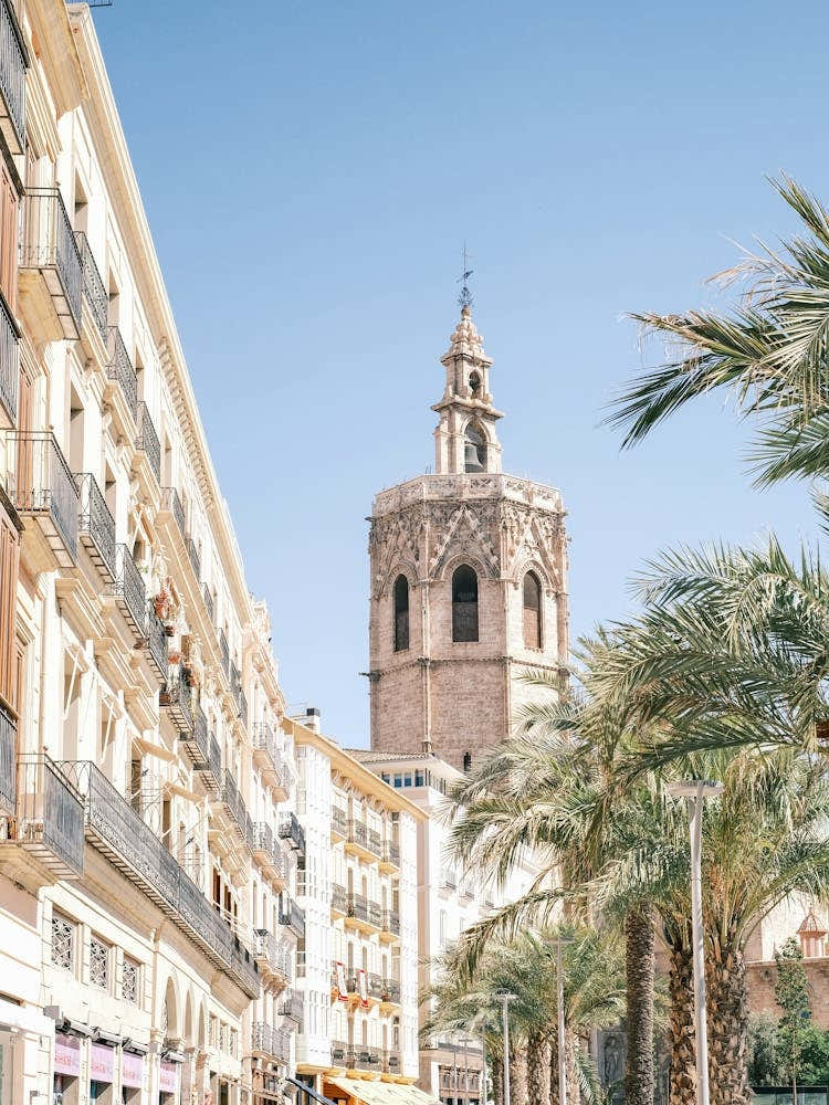 Valencia street // Spain,  Travel Photography