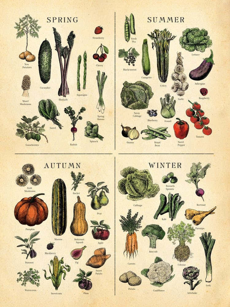 Uk Seasonal Fruit And Veg Chart