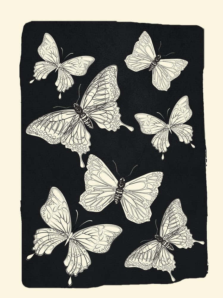 Flying Butterflies 1