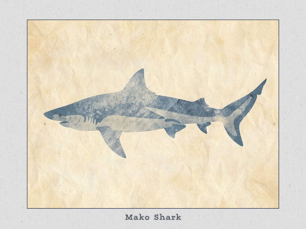 Mako Shark Grey Silhouette 6 Poster