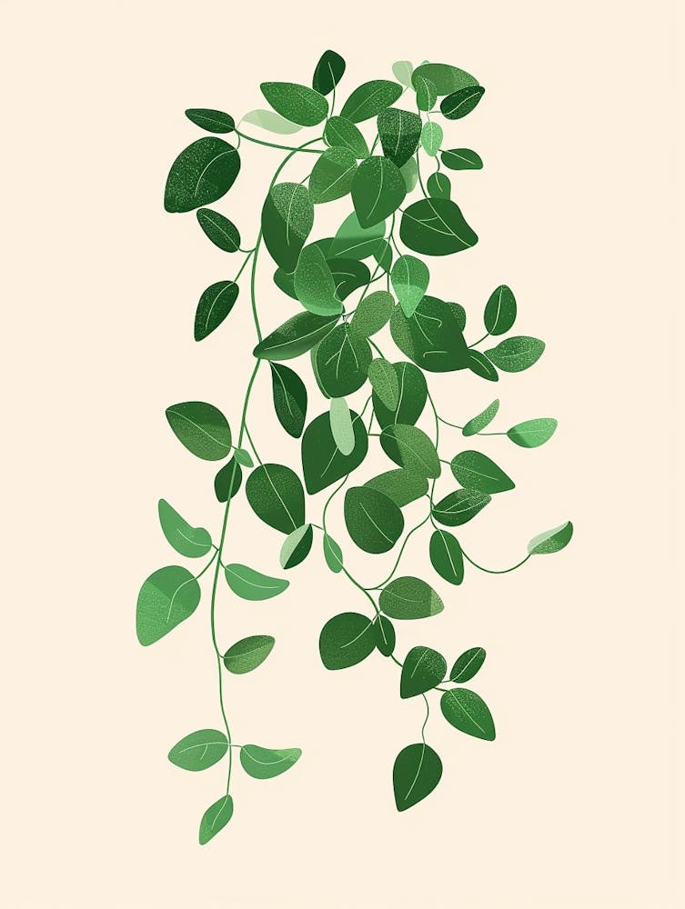 Wandering Jew Plant Minimalist Illustration 7