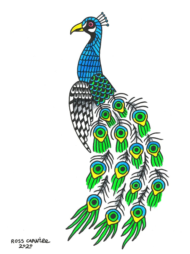Peacock