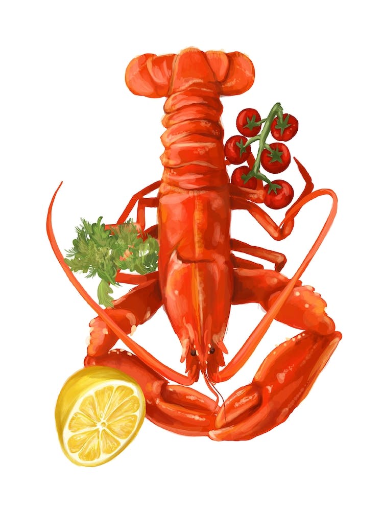 Lobster