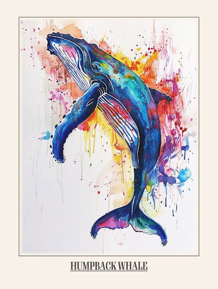 Humpback Whale Colourful Watercolour 2 Poster