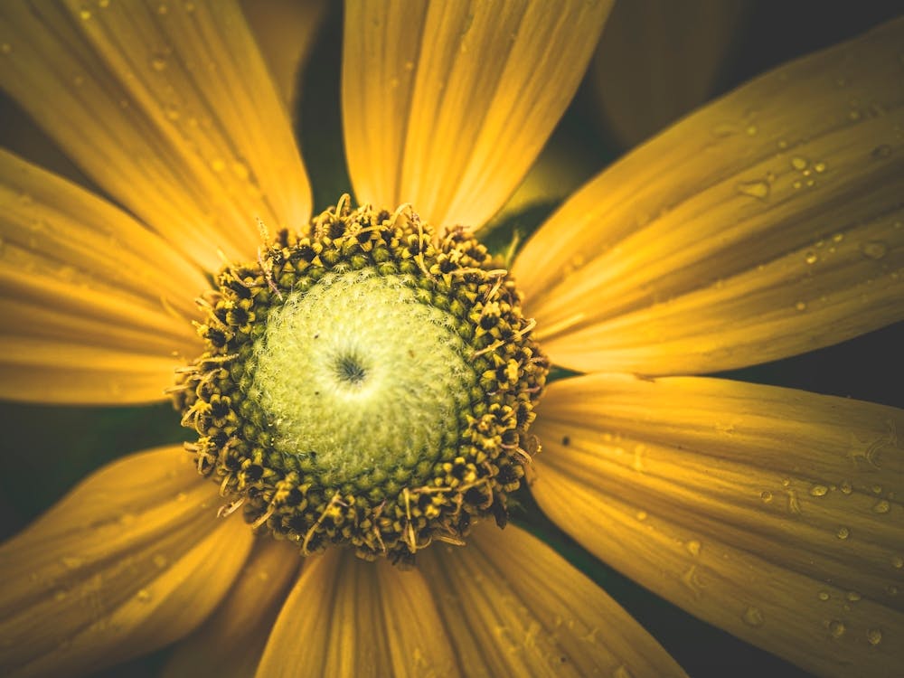 wrote a song for you