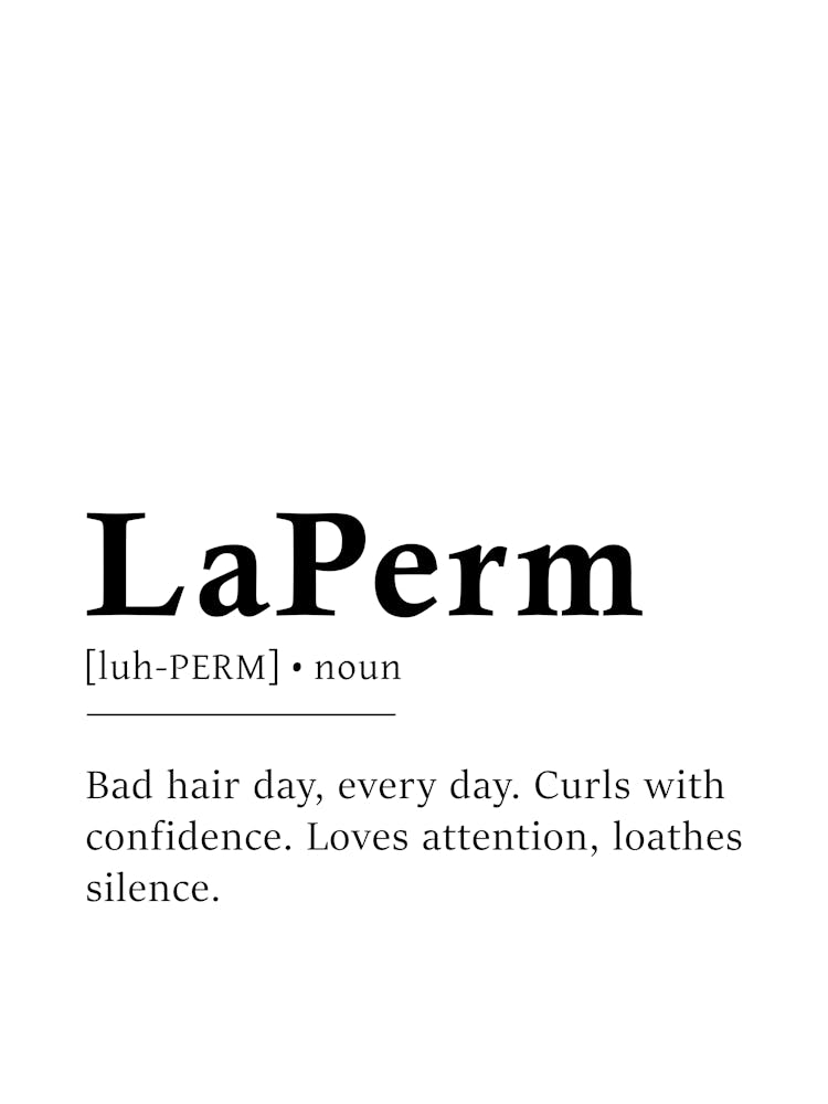Laperm Definition Poster - Dictionary
