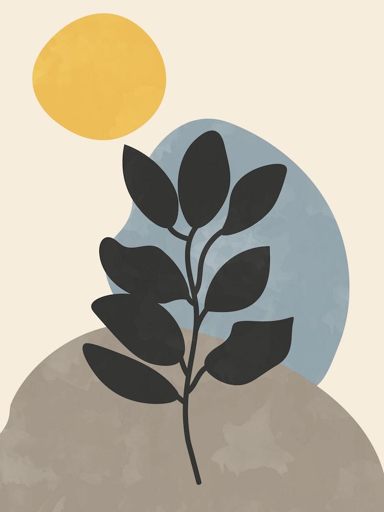 Modern Boho Plant