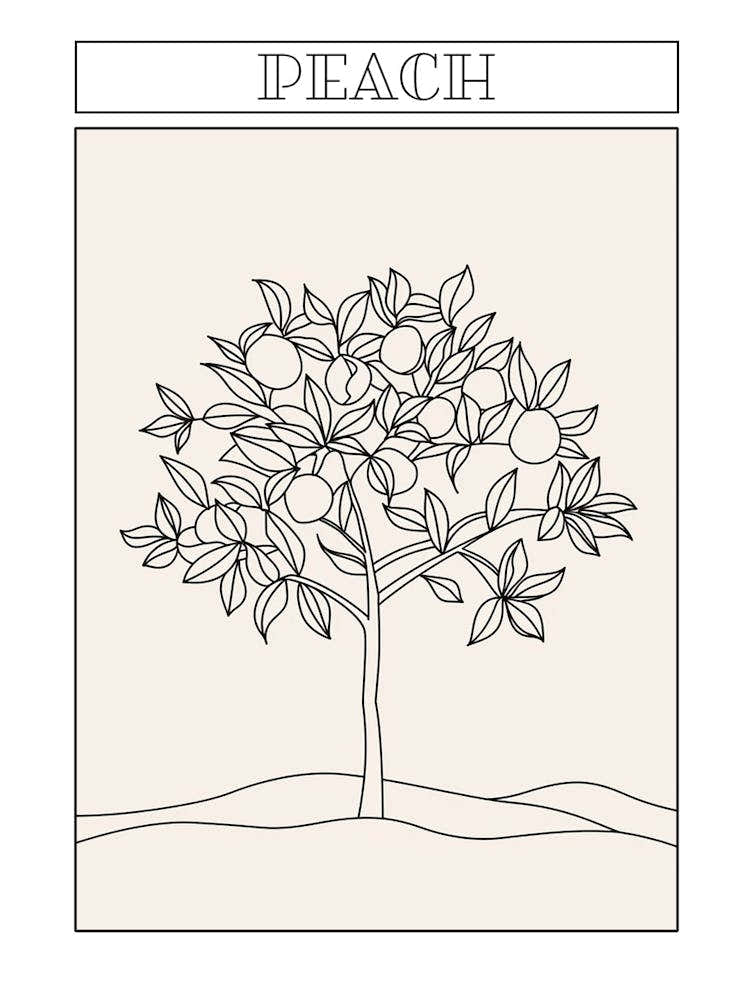Peach Tree Minimalistic Drawing 2 Poster