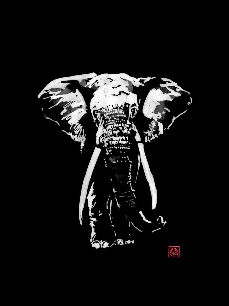 Elephant In Dark