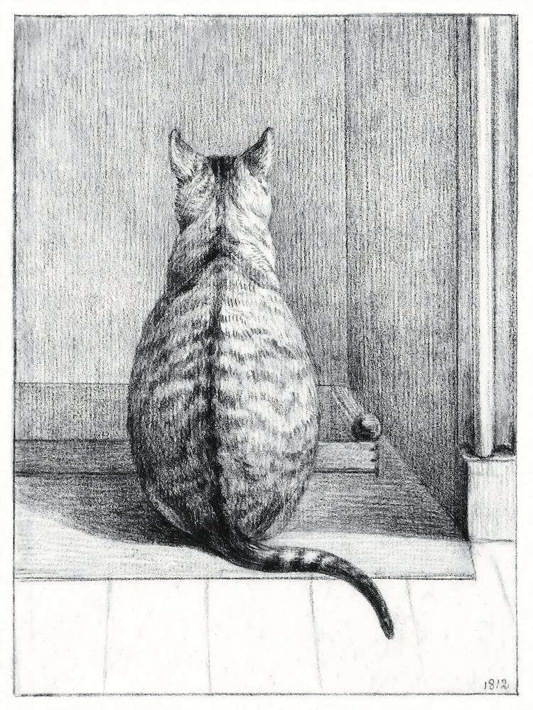Sitting Cat, From Behind, Jean Bernard