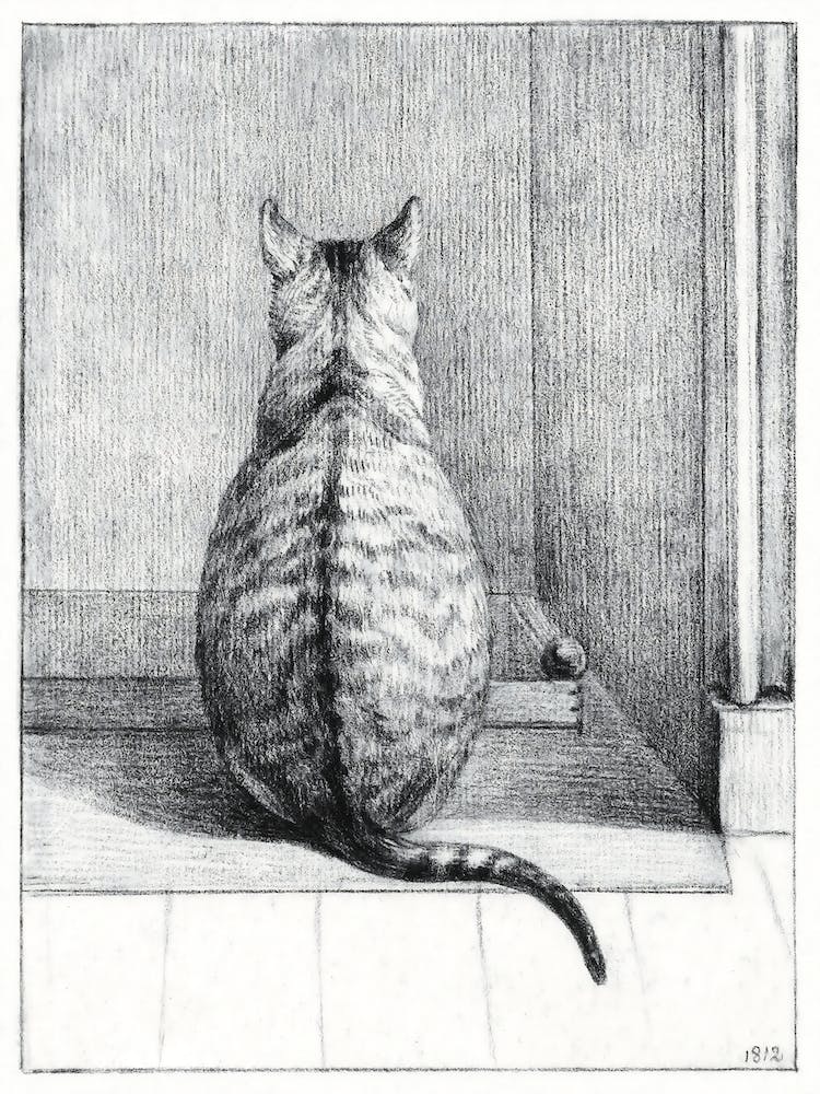 Sitting Cat, From Behind, Jean Bernard