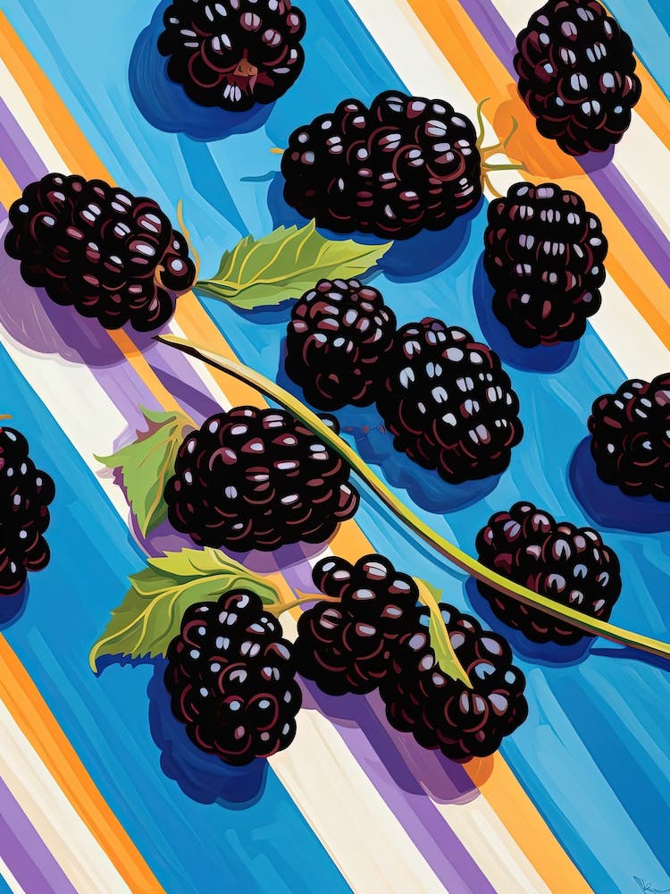 Blackberries Fruit Summer Illustration 4