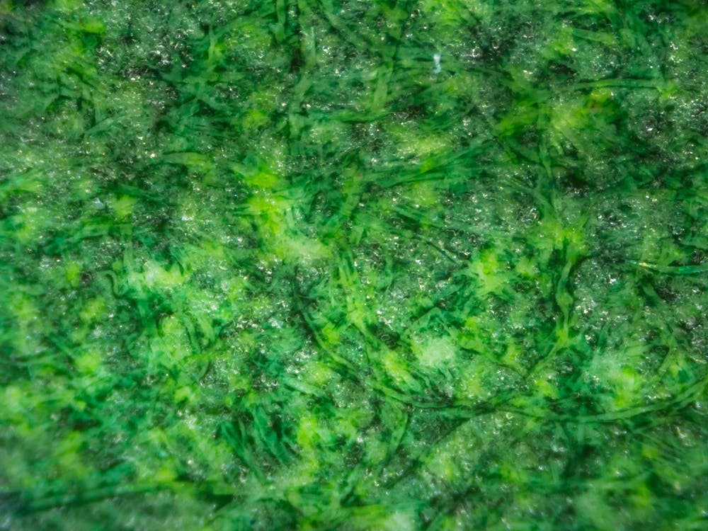 Abstract Green Pattern Fabric Texture On Israeli Money Bill Of 50 Shekel Under The Microscope 1
