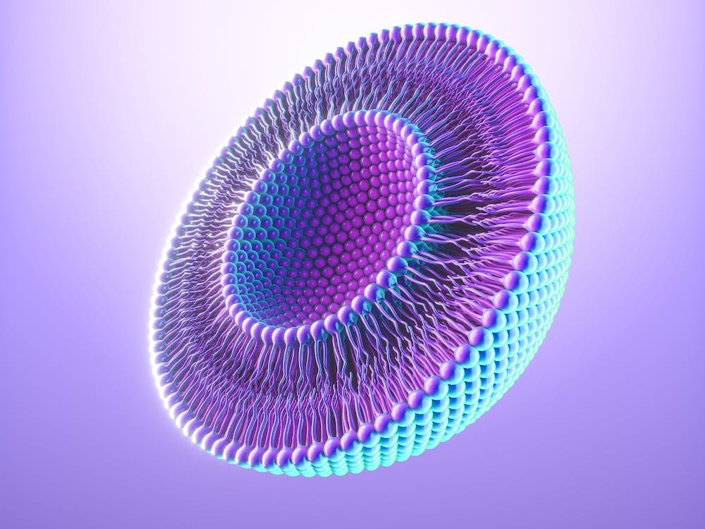 Liposome 07