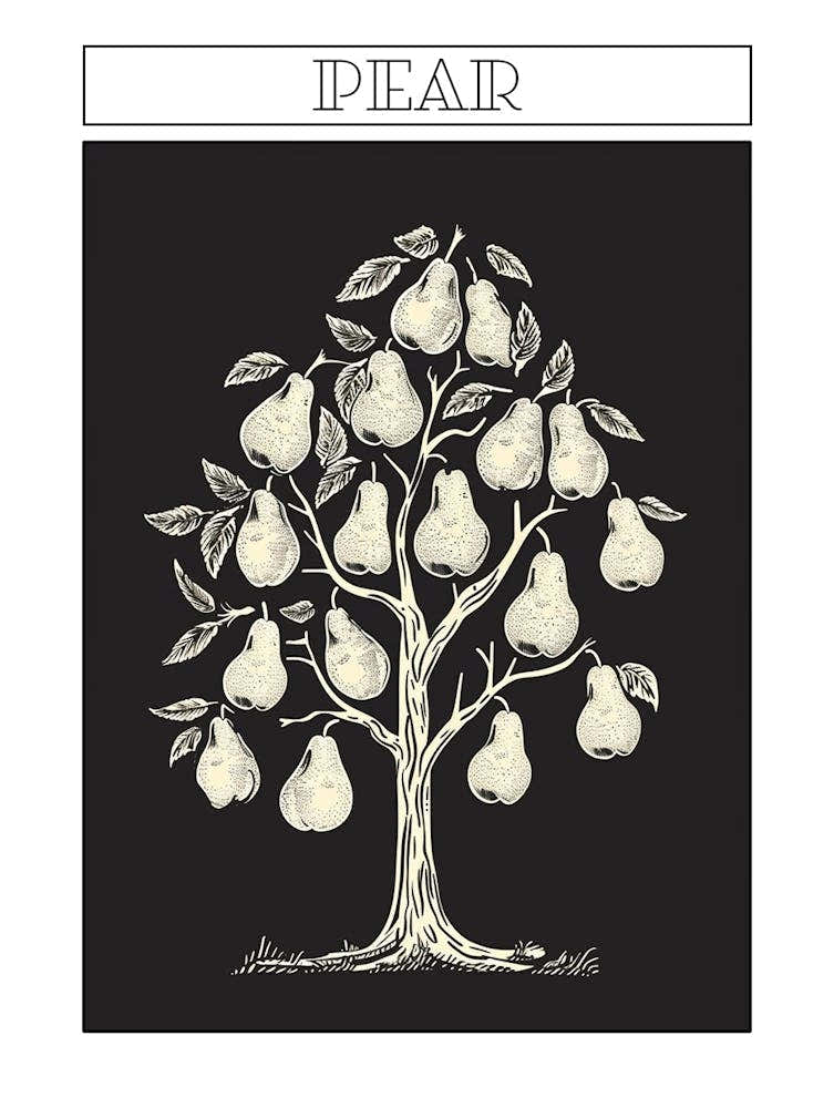 Pear Tree Minimalistic Drawing 1 Poster
