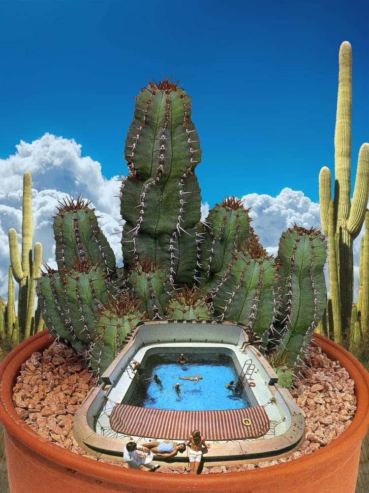 Cactus Splash Green & Blue