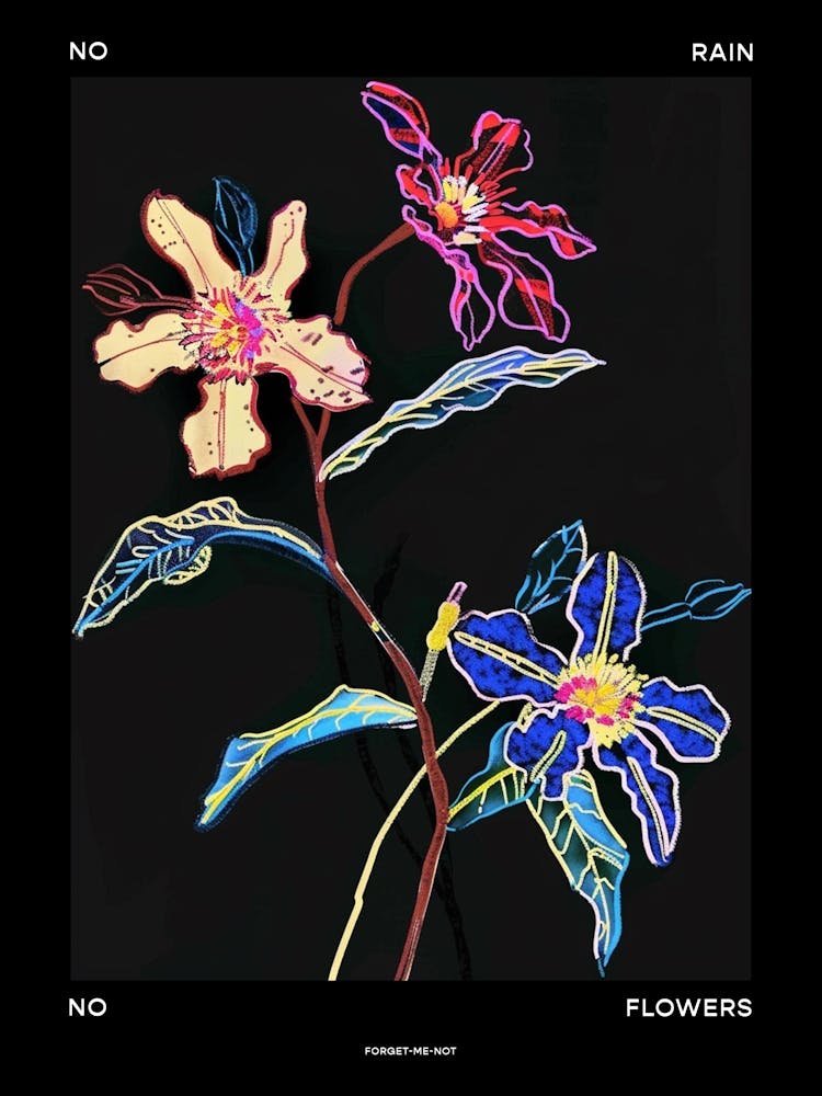 No Rain No Flowers Poster Forget Me Not 5