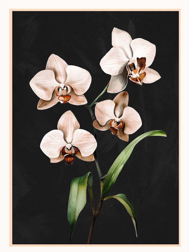 White Orchid Floral Art 1