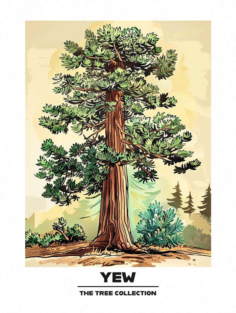 Yew Tree Storybook Illustration 1 Poster
