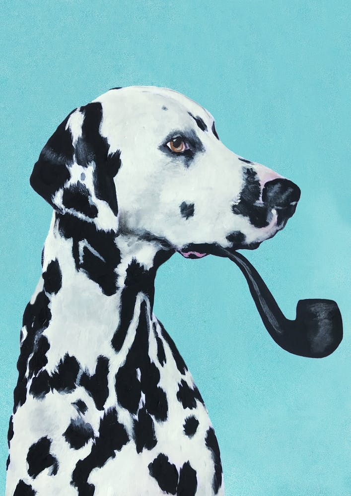 Dalmatian With Pipe
