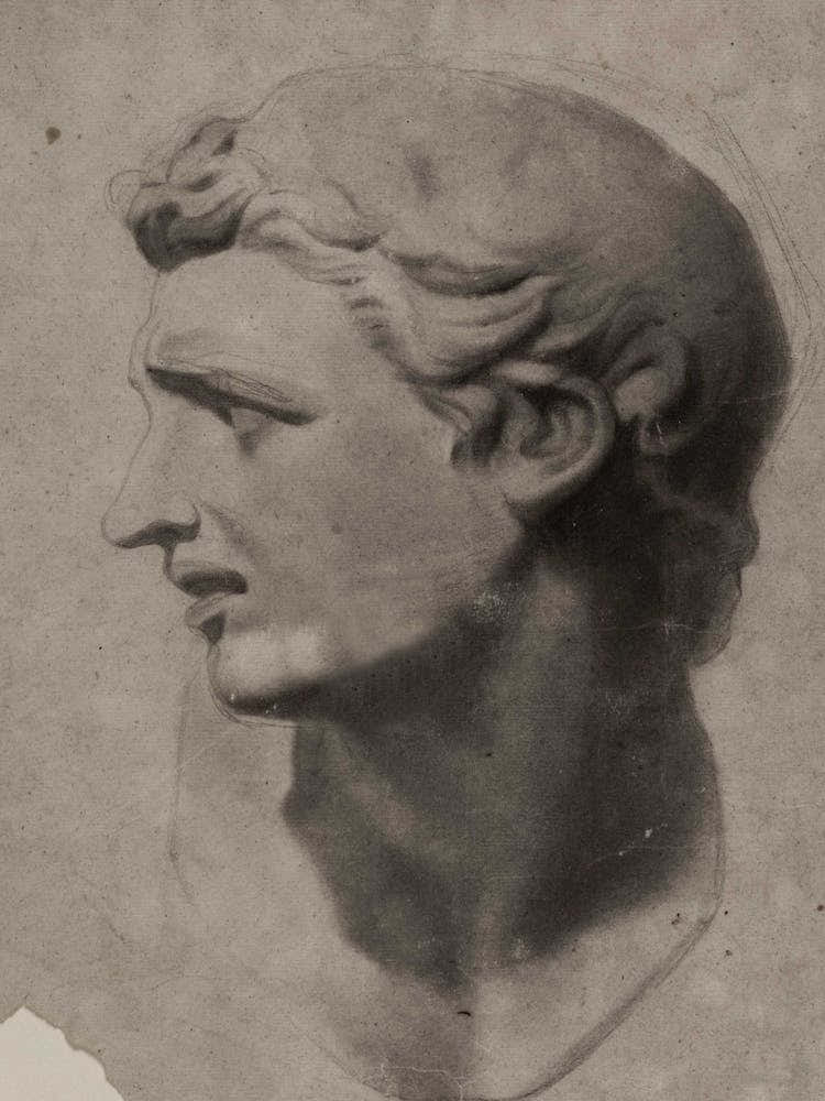 Bust Of A Man