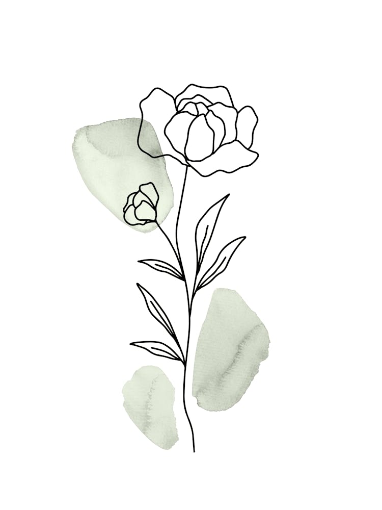 Botanical Line Art, Peony Boho Minimalist in Sage Green, Watercolor