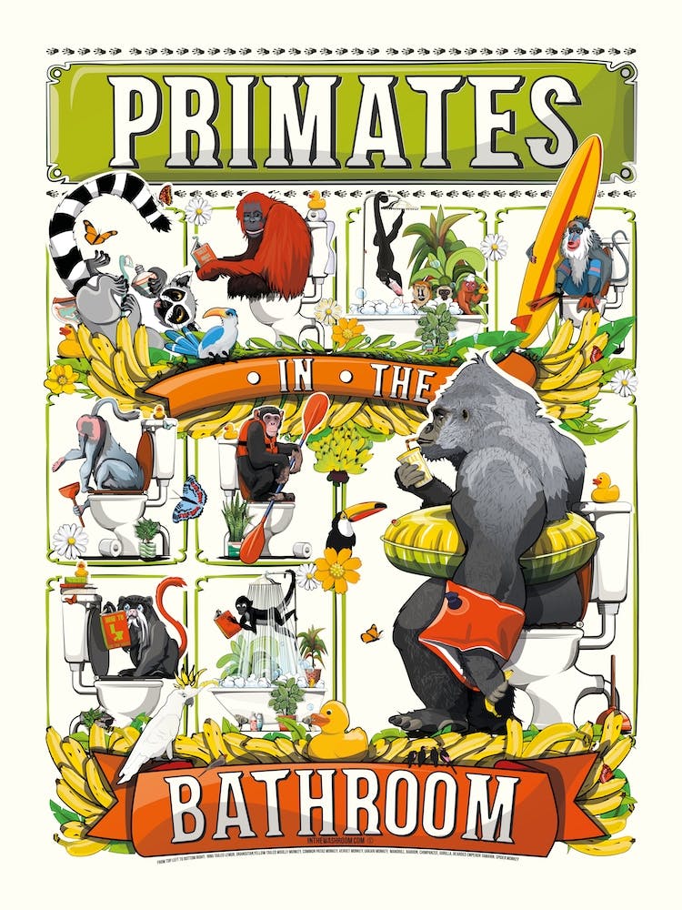 Primates In The Bathroom